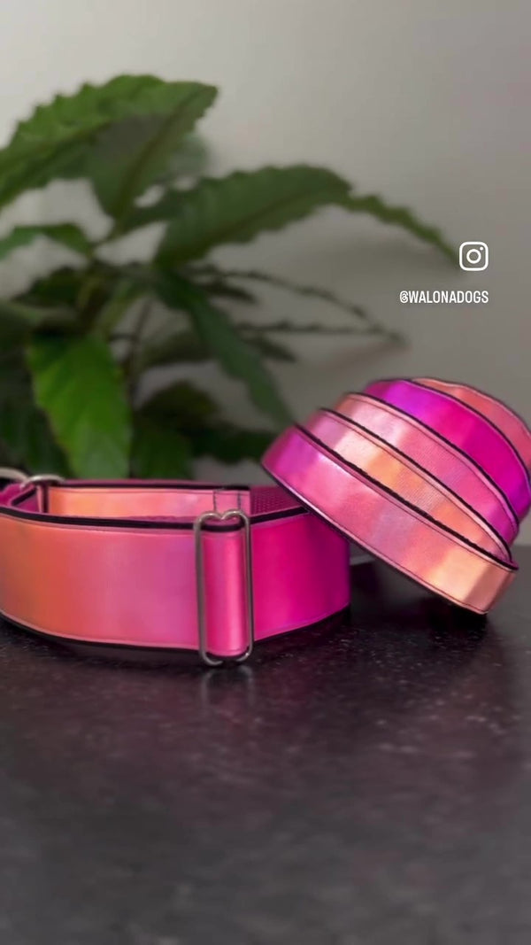 AURA- PINK REFLECTIVE COLLAR
