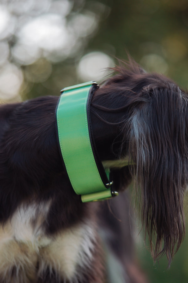 AURA- GREEN REFLECTIVE COLLAR