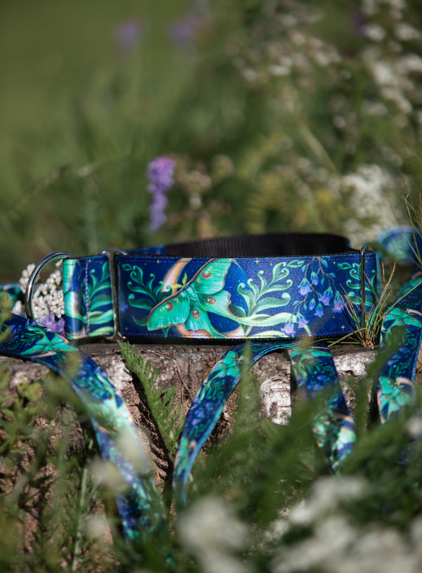 MOONLIGHT FLIGHT - COLLAR