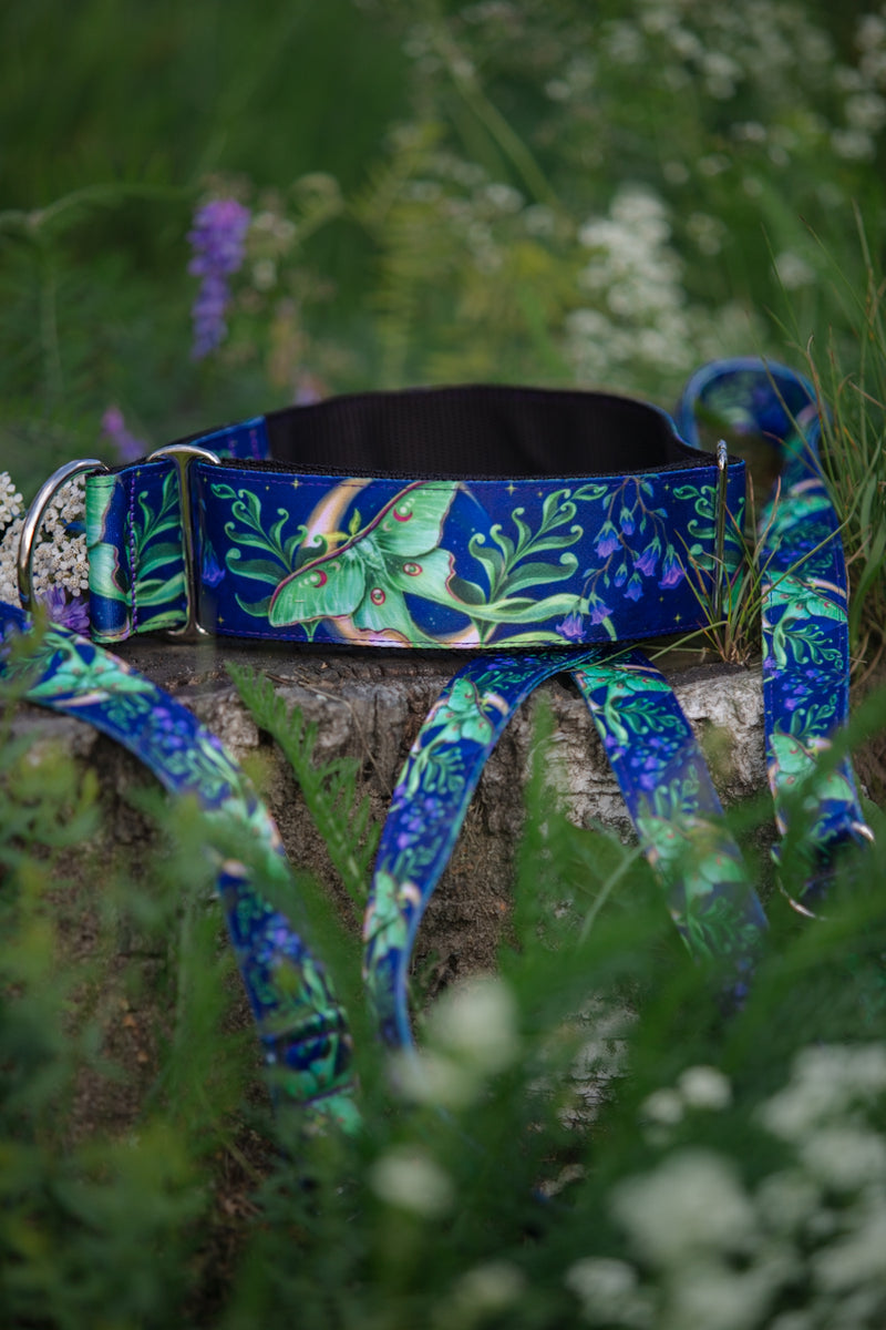 MOONLIGHT FLIGHT - COLLAR