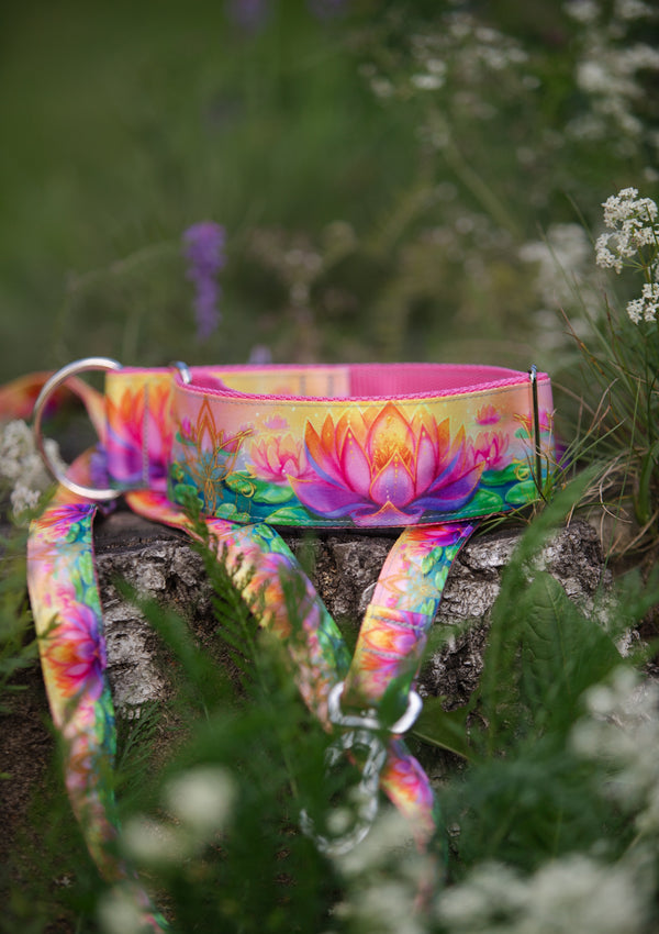 BLOOM OF LIGHT- LEASH