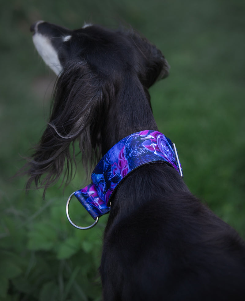 KEEPER OF THE KEY- COLLAR