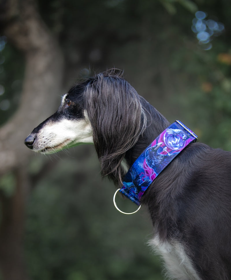 KEEPER OF THE KEY- COLLAR