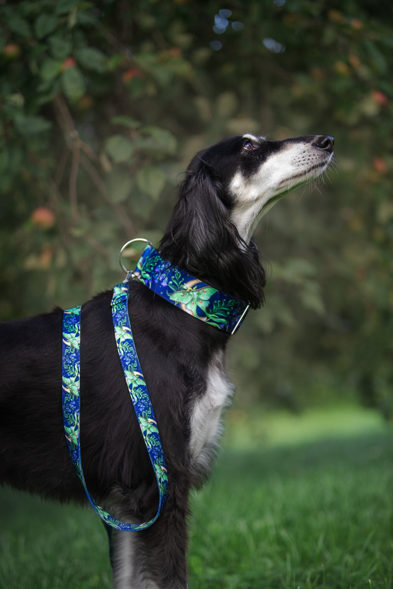 MOONLIGHT FLIGHT - COLLAR