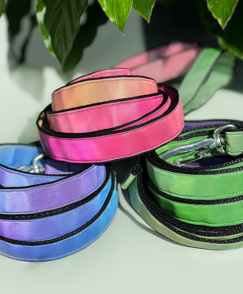 AURA PINK REFLECTIVE- LEASH