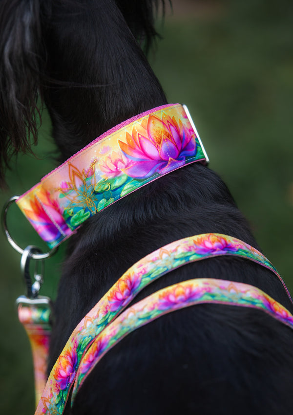 BLOOM OF LIGHT - COLLAR