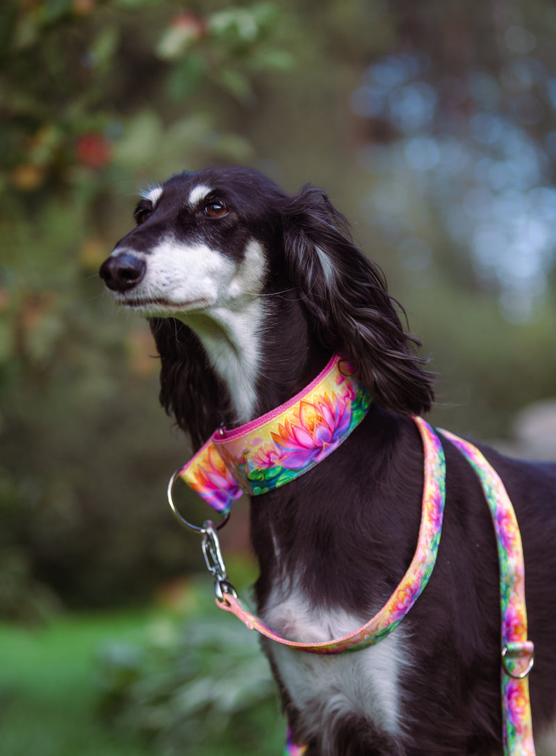 BLOOM OF LIGHT - COLLAR
