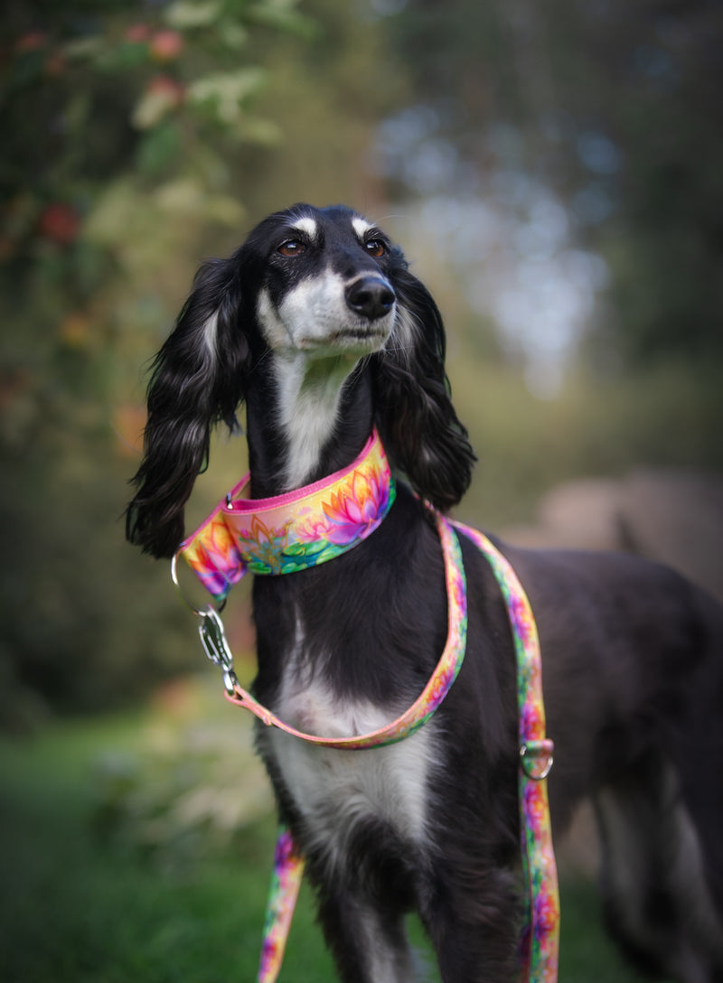 BLOOM OF LIGHT - COLLAR