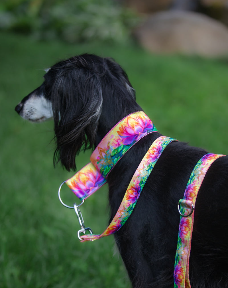 BLOOM OF LIGHT - COLLAR