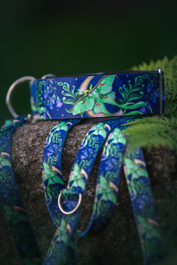 MOONLIGHT FLIGHT - COLLAR