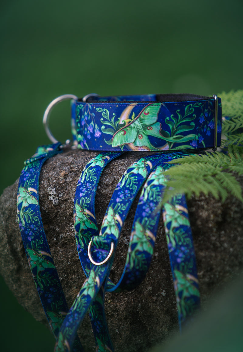 MOONLIGHT FLIGHT - COLLAR