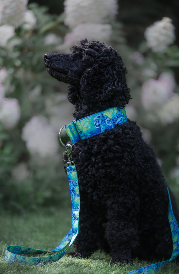 SPARK OF JOY - COLLAR