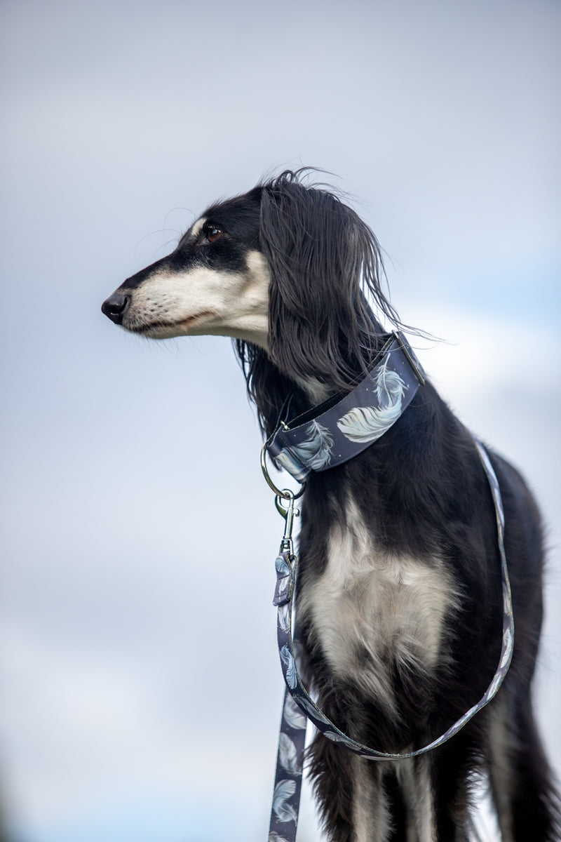 GUARDIAN ANGEL -COLLAR