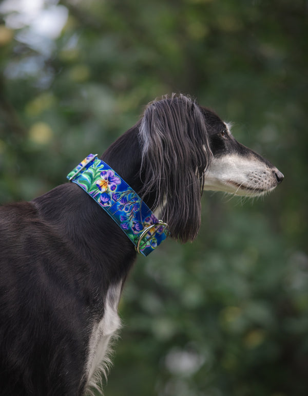 ON A CLEAR DAY -LEASH