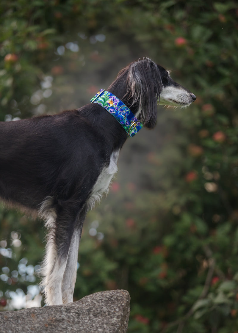 ON A CLEAR DAY - COLLAR