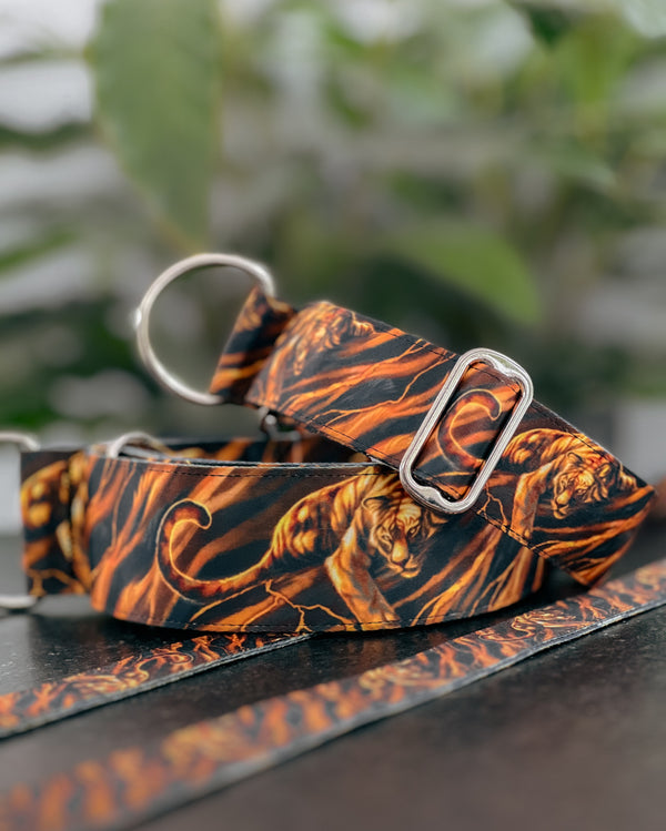 EYE OF THE TIGER - COLLAR