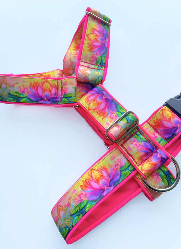 WALONA- HARNESS