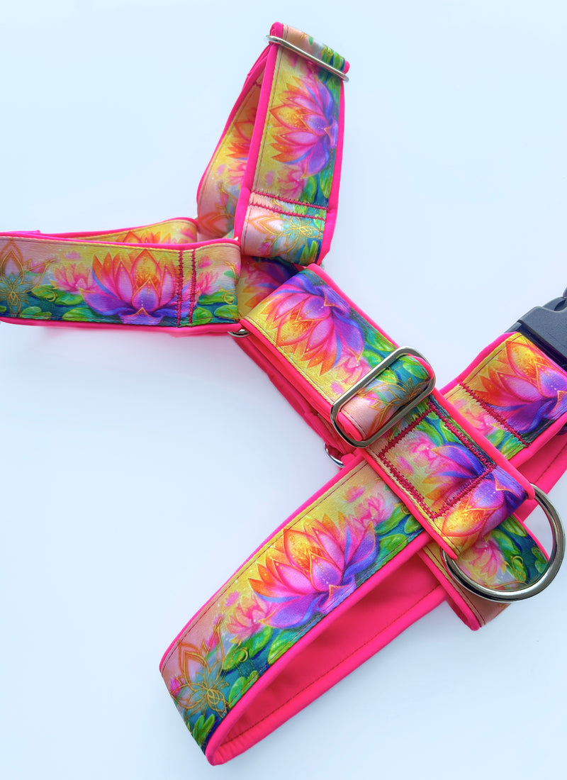 WALONA- HARNESS
